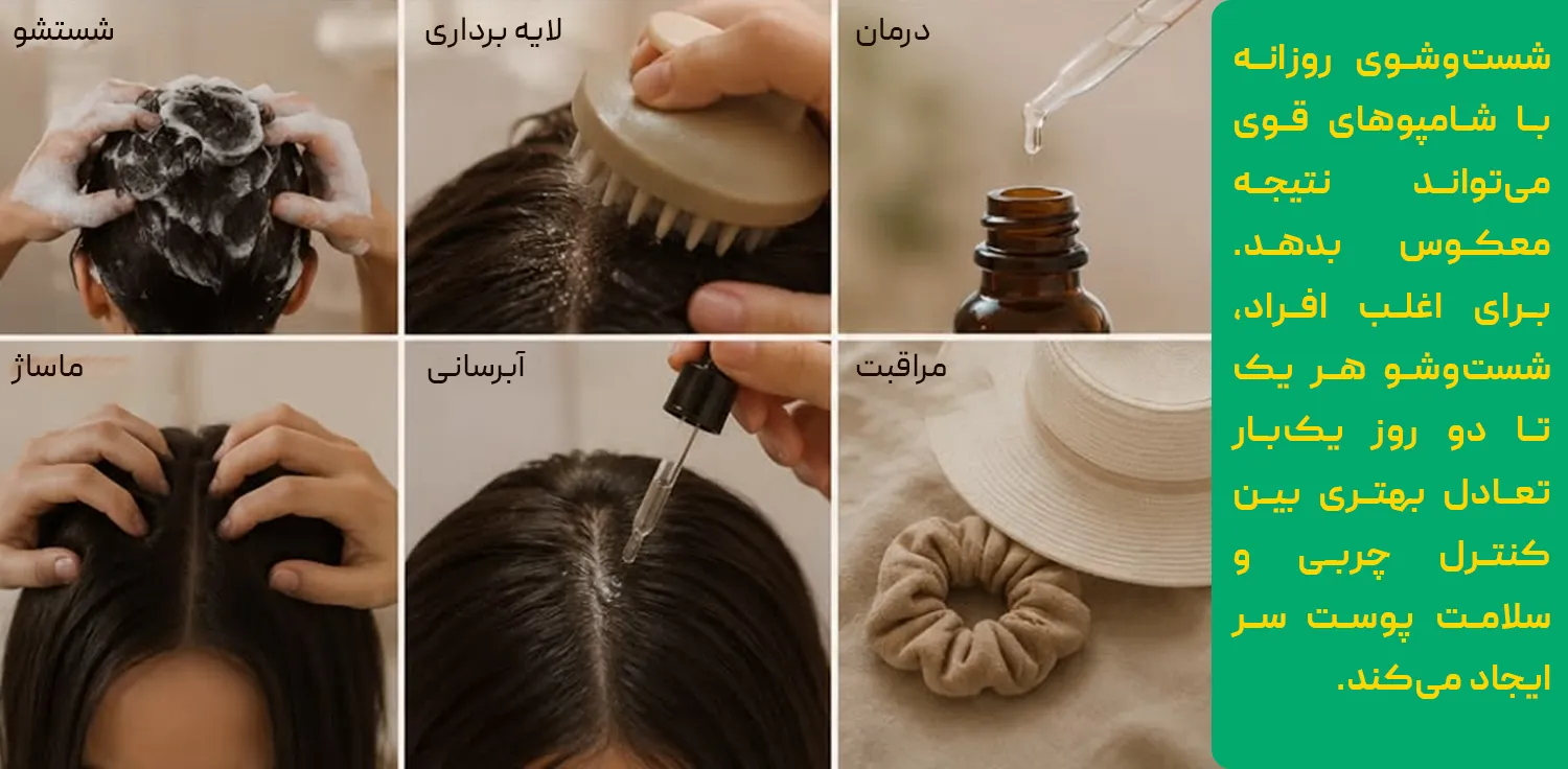 درمان قطعی چربی موی سر درمان قطعی چربی موی سر