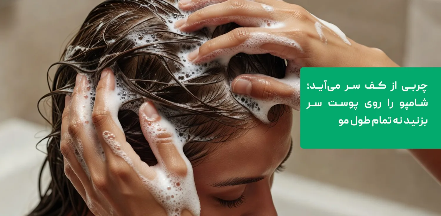 بهترین شامپو برای پوست سر چرب و روش درست شامپو زدن روی کف سر بهترین شامپو برای پوست سر چرب و روش درست شامپو زدن روی کف سر