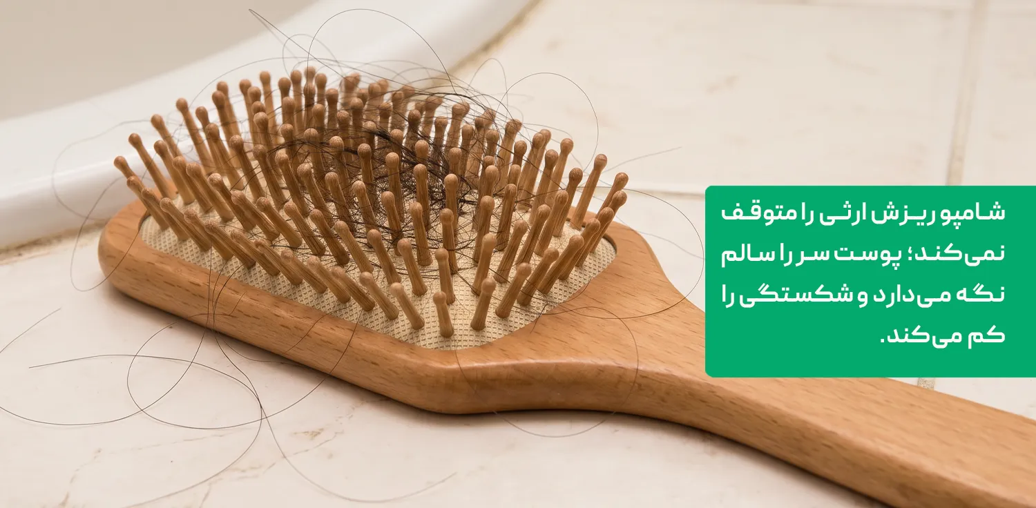 زمان ماند شامپوی ضدشوره روی پوست سر و مواد موثر ضد قارچ زمان ماند شامپوی ضدشوره روی پوست سر و مواد موثر ضد قارچ