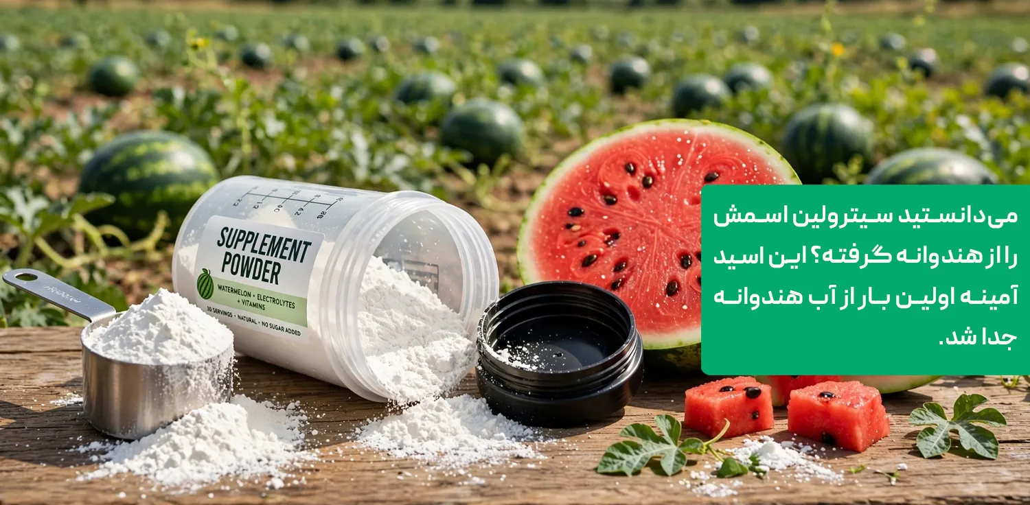 پودر سفید سیترولین مالات در اسکوپ کنار شیکر و برش هندوانه
