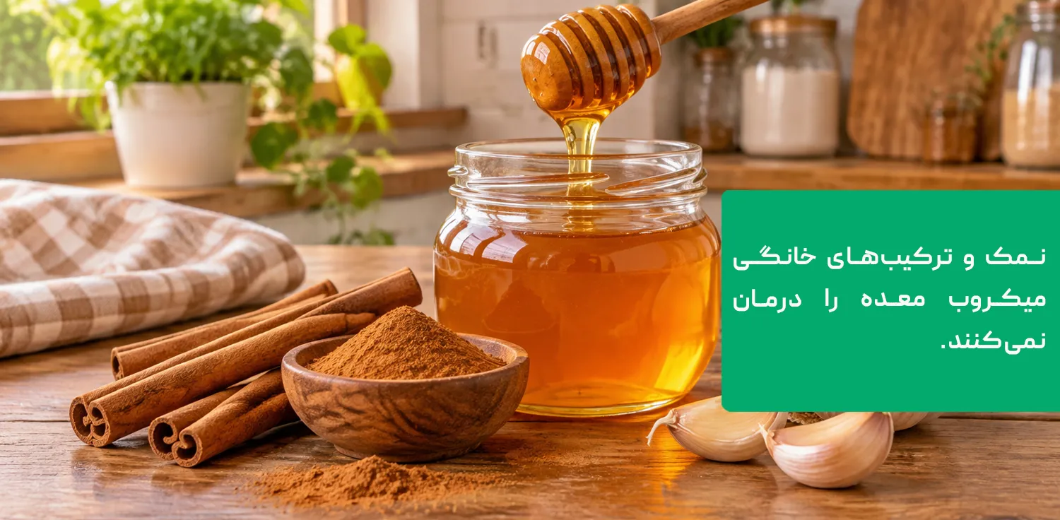 درمان خانگی میکروب معده؛ عسل، دارچین و سیر درمان خانگی میکروب معده؛ عسل، دارچین و سیر